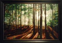 Forest Light by Helen J Vaughn
