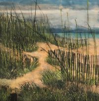 Sand Dune Path by Judy Klich